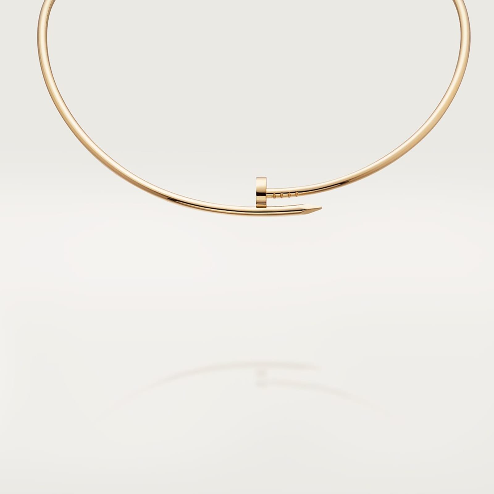 Cartier Juste un Clou necklace