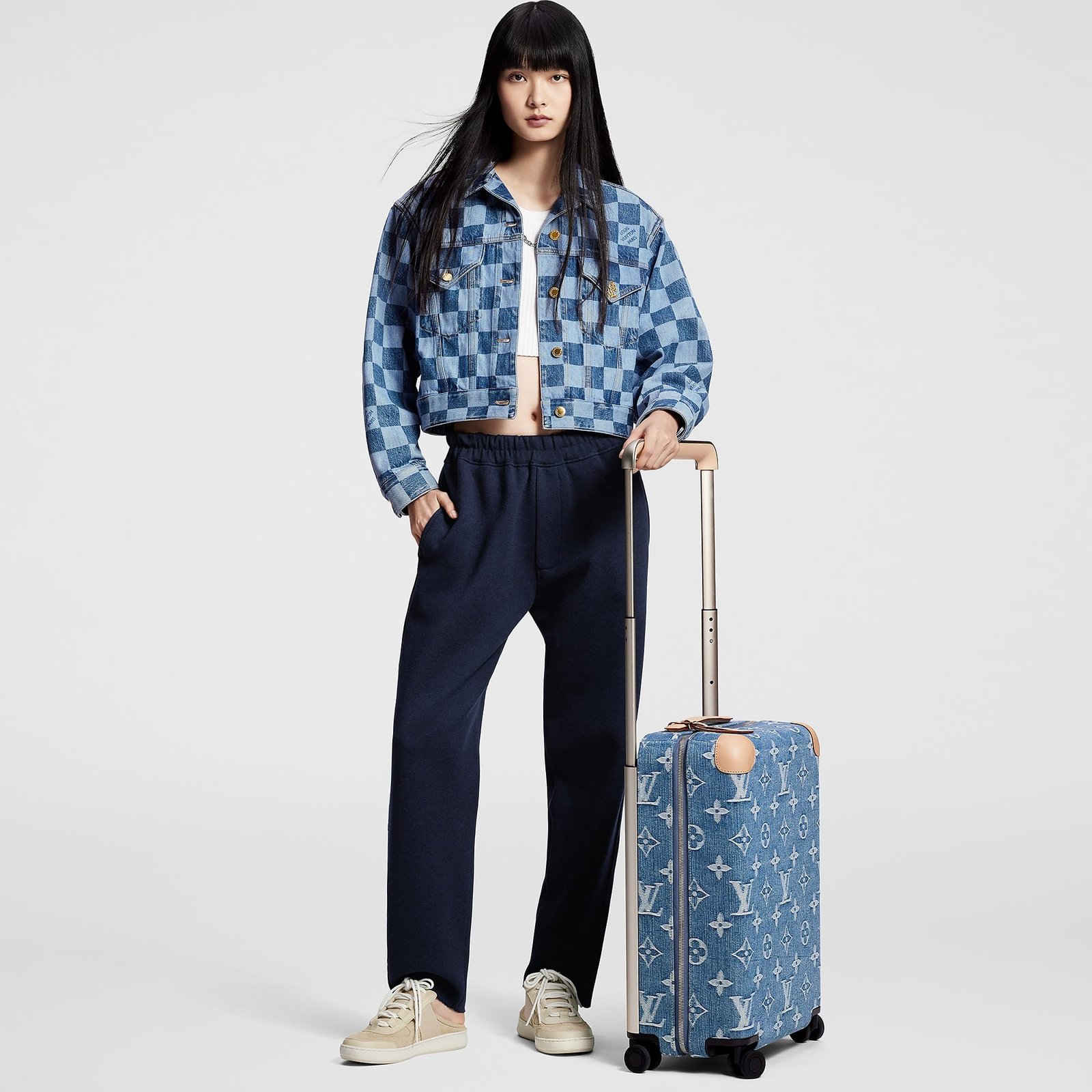 Replica Designer Bag Louis Vuitton Horizon 55 - Image 5