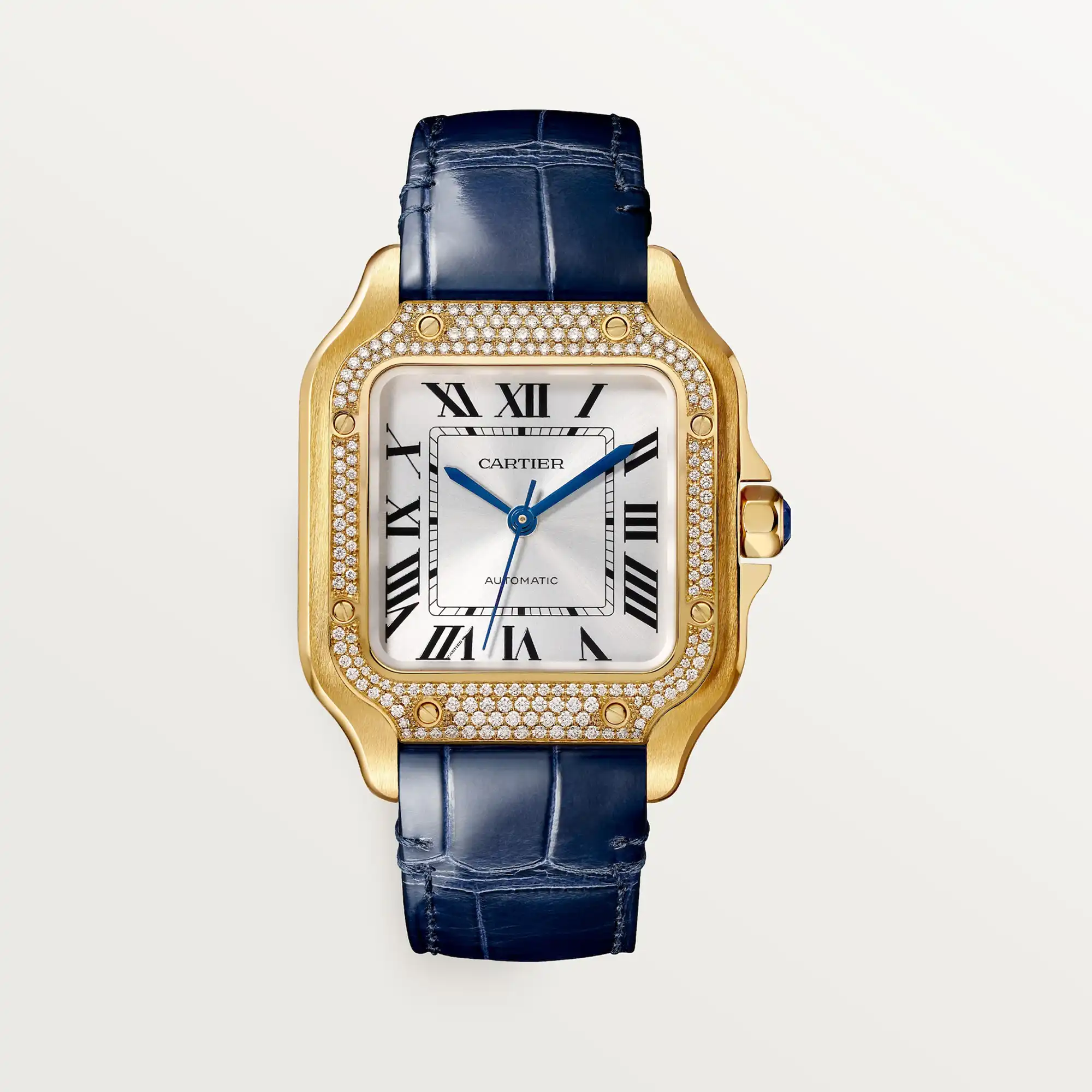 Santos de Cartier Watch WJSA0013