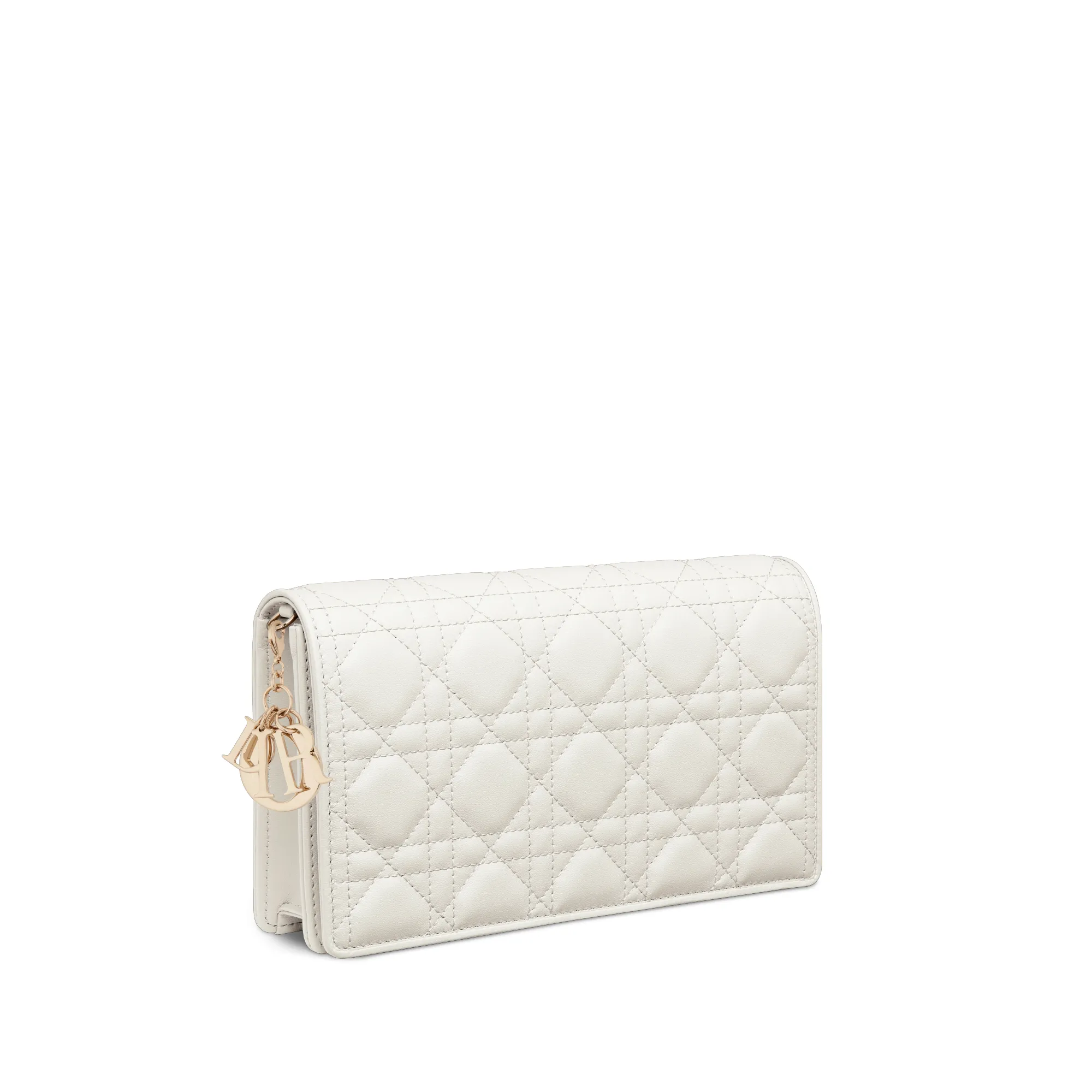 Replica Lady Dior Pouch S0204ONMJM030 E03