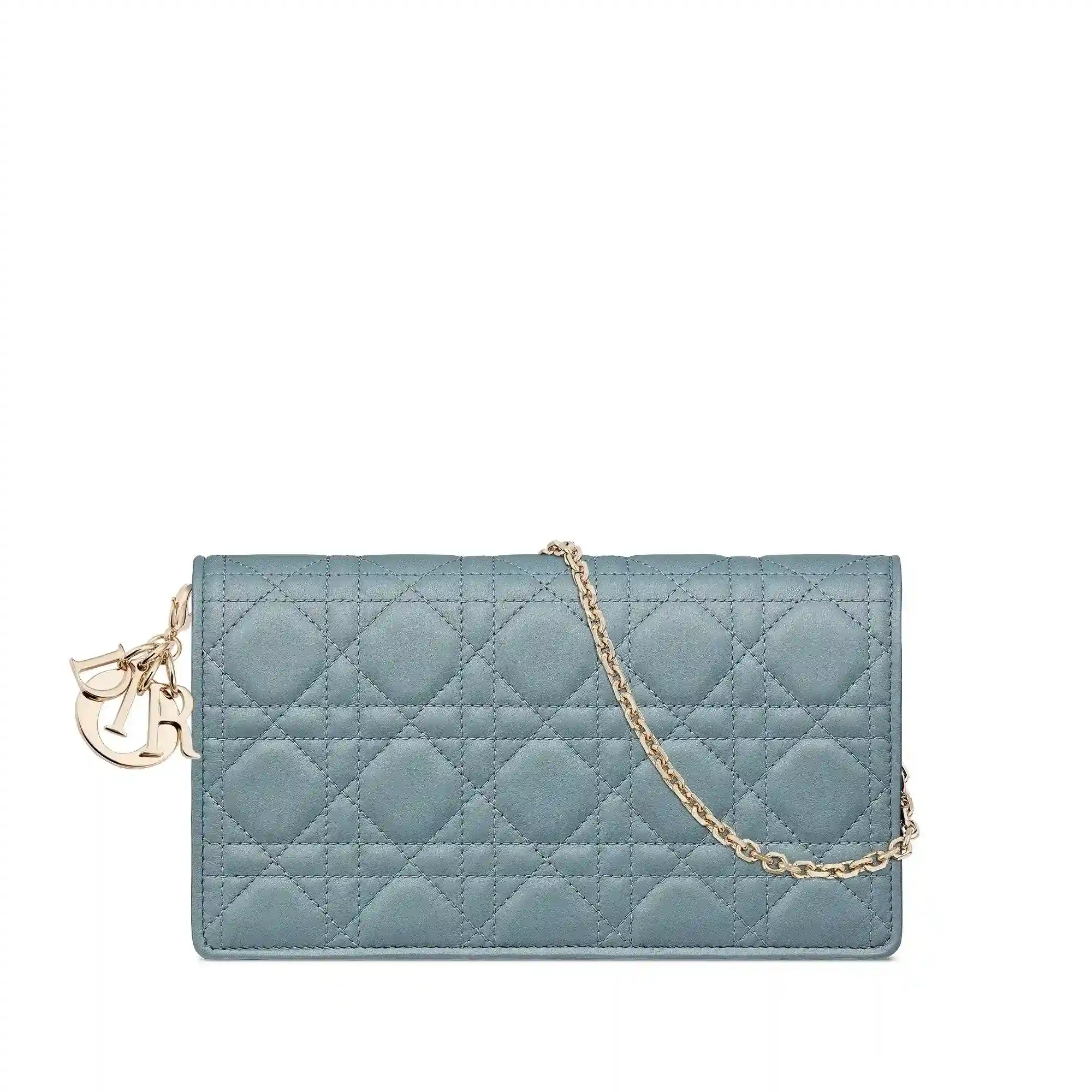 Replica Lady Dior Pouch S0204ONMJM81B E01 1