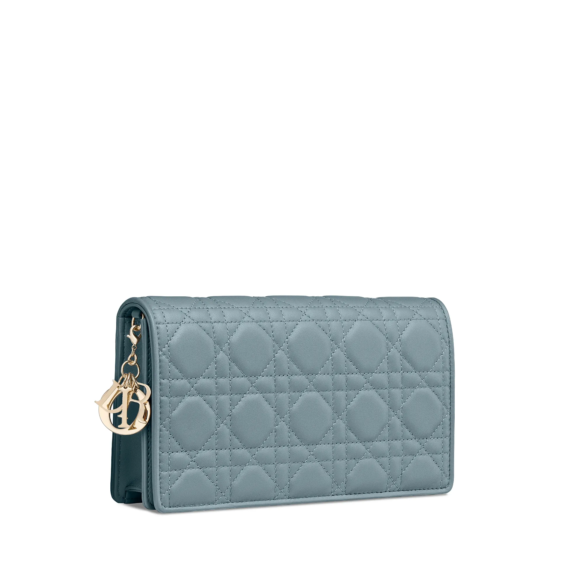 Replica Lady Dior Pouch S0204ONMJM81B E03 1