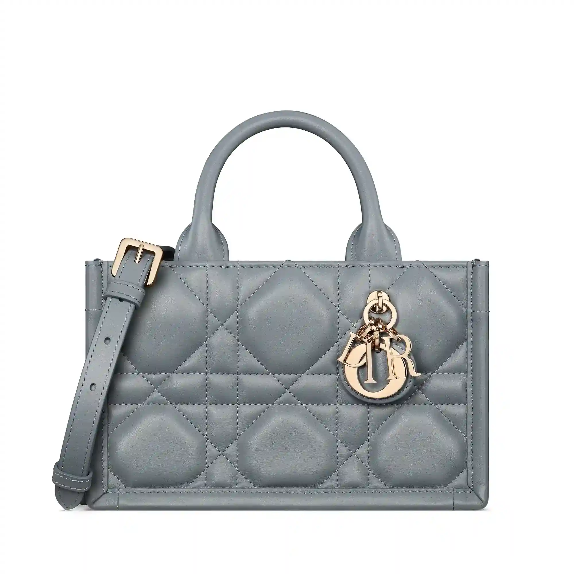Replica Mini Dior Book Tote S5573OWHPM81B E01 1